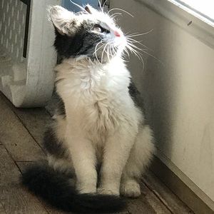 Meet your Posher, Eric